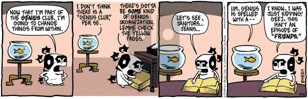 Pooch Cafe on Thursday November 20, 2008 Comic Strip