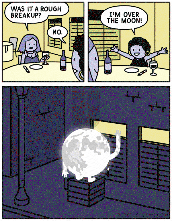 Berkeley Mews - Monday January 27, 2025 Comic Strip