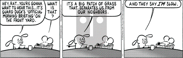 Pearls Before Swine on Thursday June 12, 2008 Comic Strip