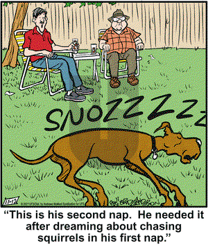 Marmaduke on Friday November 12, 2021 Comic Strip