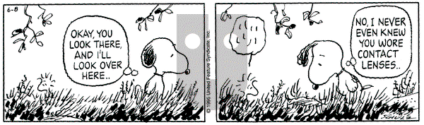 Peanuts - Thursday June 8, 1995 Comic Strip