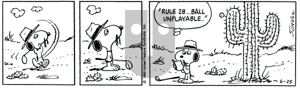 Peanuts on Monday June 25, 1990 Comic Strip