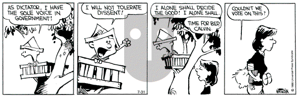 Calvin and Hobbes on Wednesday July 31, 1991 Comic Strip