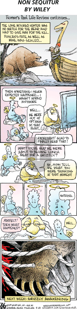 Non Sequitur on Sunday September 20, 2009 Comic Strip