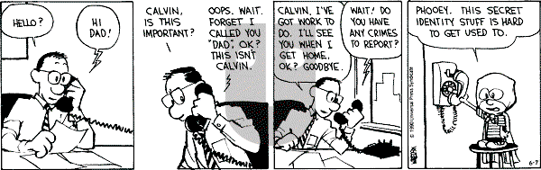 Calvin and Hobbes - Thursday June 7, 1990 Comic Strip