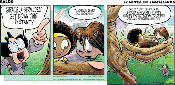 Baldo - Sunday July 20, 2008 Comic Strip