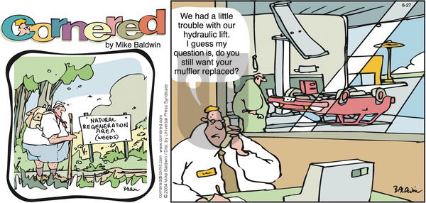 Cornered on Sunday June 27, 2004 Comic Strip