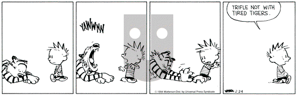 Calvin and Hobbes on Thursday February 24, 1994 Comic Strip