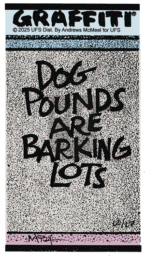 Graffiti on Wednesday December 17, 2025 Comic Strip