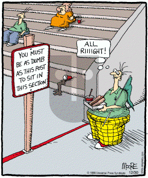 In the Bleachers - Tuesday December 30, 2003 Comic Strip