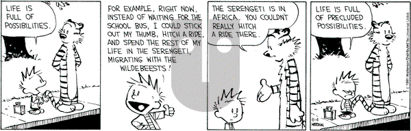 Calvin and Hobbes on Thursday June 4, 2015 Comic Strip