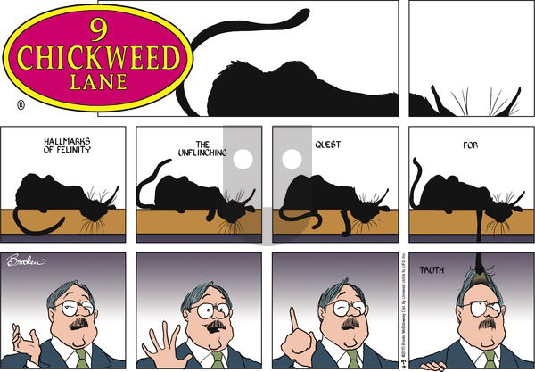 9 Chickweed Lane on Sunday April 5, 2015 Comic Strip