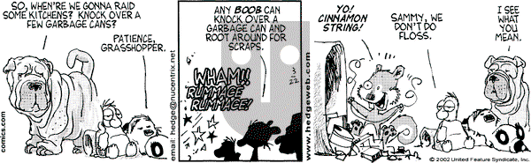 Over the Hedge on Friday March 22, 2002 Comic Strip