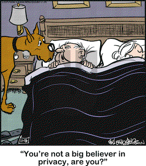 Marmaduke on Saturday November 16, 2019 Comic Strip