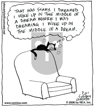Kit 'N' Carlyle on Friday July 21, 2006 Comic Strip