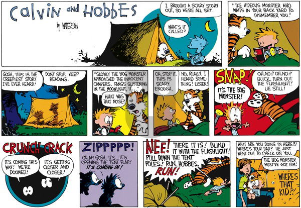Calvin and Hobbes on Sunday August 21, 1988 Comic Strip