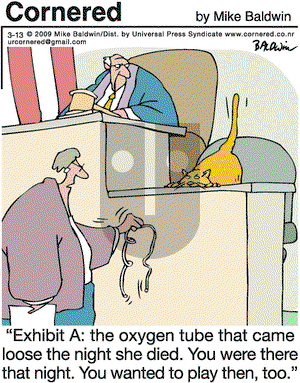 Cornered on Friday March 13, 2009 Comic Strip