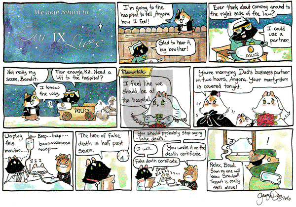 Breaking Cat News on Saturday December 17, 2016 Comic Strip