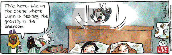 Breaking Cat News on Wednesday February 7, 2018 Comic Strip
