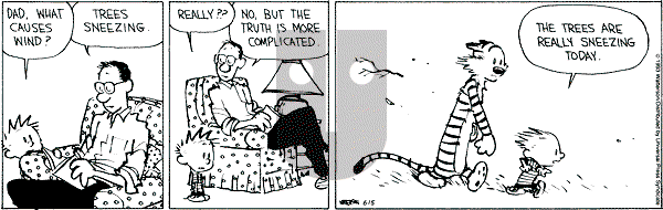 Calvin and Hobbes - Tuesday June 15, 1993 Comic Strip
