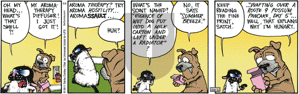 Get Fuzzy on Monday August 8, 2011 Comic Strip