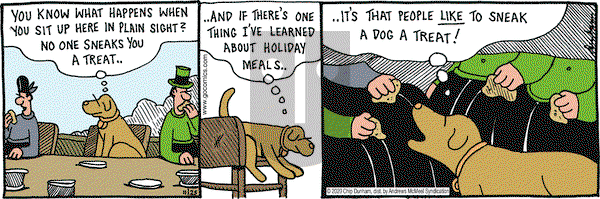Overboard on Wednesday November 25, 2020 Comic Strip