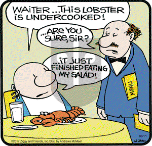 Ziggy on Wednesday October 11, 2017 Comic Strip