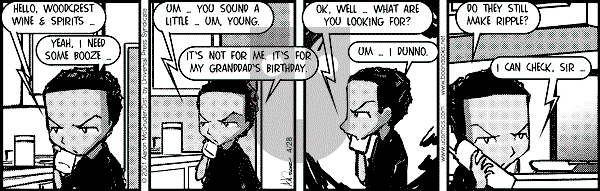 The Boondocks on Saturday November 29, 2008 Comic Strip
