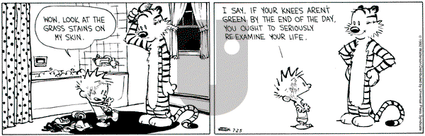 Calvin and Hobbes on Saturday July 25, 1992 Comic Strip