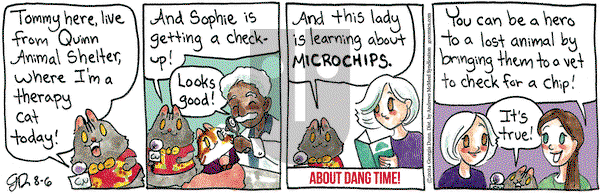 Breaking Cat News - Tuesday August 6, 2024 Comic Strip