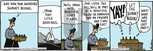Overboard on Thursday April 13, 2017 Comic Strip