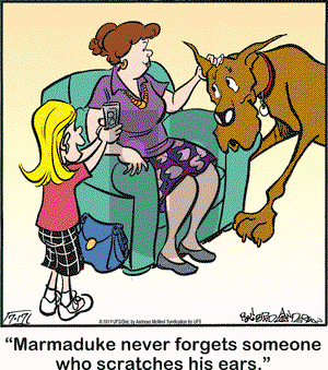 Marmaduke on Wednesday July 17, 2019 Comic Strip