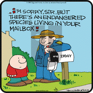 Ziggy on Saturday July 12, 2003 Comic Strip