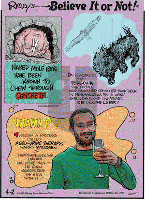 Ripley's Believe It or Not on Thursday April 2, 2020 Comic Strip