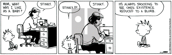 Calvin and Hobbes on Saturday November 13, 1993 Comic Strip