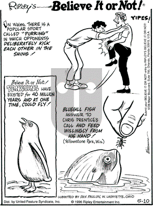 Ripley's Believe It or Not on Friday May 10, 1996 Comic Strip