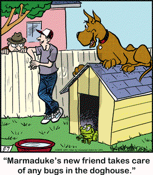 Marmaduke on Friday August 7, 2015 Comic Strip