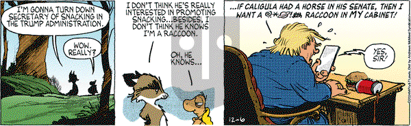 Over the Hedge - Friday December 6, 2024 Comic Strip
