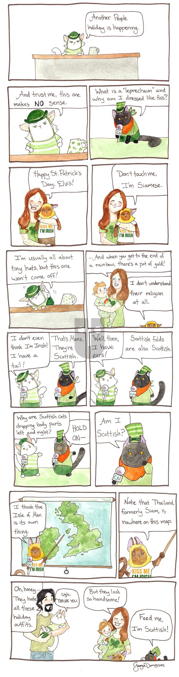 Breaking Cat News on Sunday December 4, 2016 Comic Strip