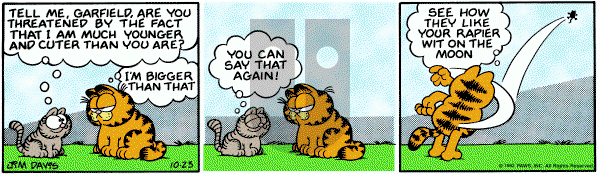Garfield on Saturday October 23, 1982 Comic Strip