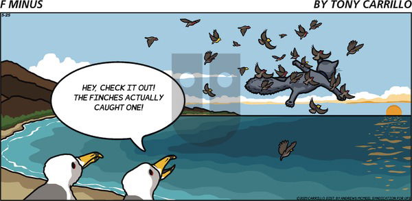 F Minus on Sunday May 25, 2025 Comic Strip