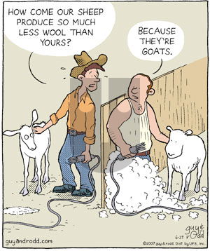 Brevity on Friday June 29, 2007 Comic Strip