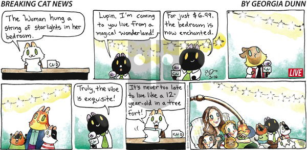 Breaking Cat News on Sunday March 16, 2025 Comic Strip