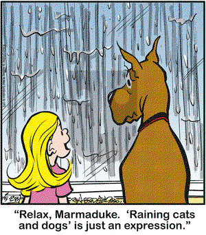Marmaduke on Thursday May 28, 2020 Comic Strip