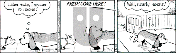 Fred Basset on Wednesday April 23, 2008 Comic Strip