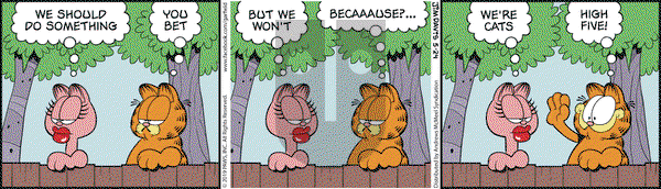 Garfield on Friday May 24, 2019 Comic Strip