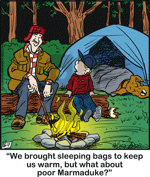 Marmaduke on Friday June 7, 2019 Comic Strip