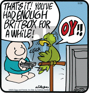 Ziggy on Wednesday May 28, 2025 Comic Strip