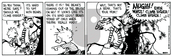 Calvin and Hobbes on Thursday June 8, 1989 Comic Strip