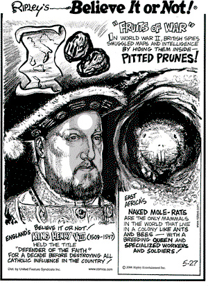 Ripley's Believe It or Not on Saturday May 27, 2006 Comic Strip